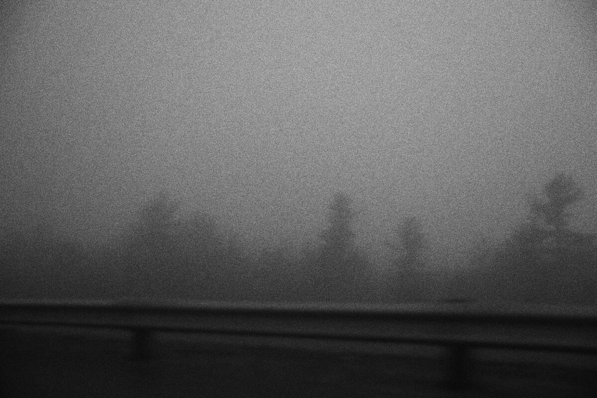 Fog Poem, photo 5 of 9