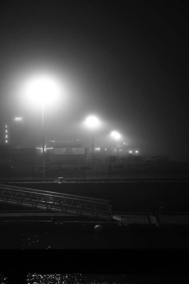 Fog Poem, photo 8 of 9