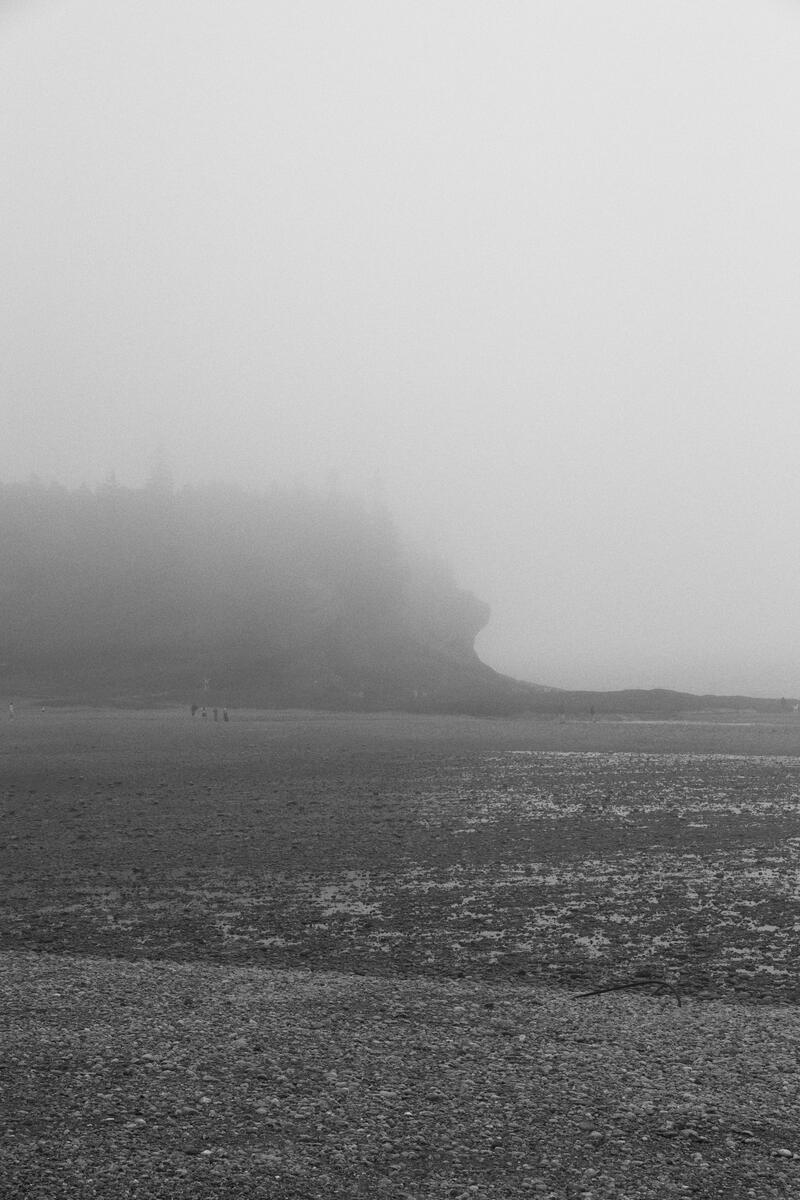 Fog Poem, photo 9 of 9
